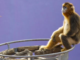西霞口野生动物园