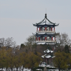 莱西月湖公园_13680