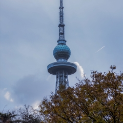 风光类、秋天红叶_9919