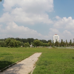 山东省临沂市罗庄区双月湖公园_13678