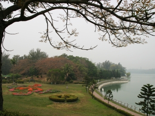 澄清湖