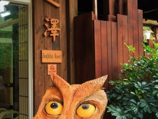 鸠之泽温泉