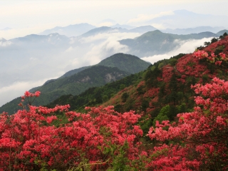 大别山国家森林公园