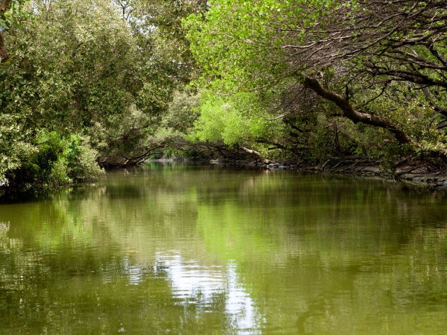 台湾高雄+垦丁+南投+台北6晚7日游 亲子团 宜