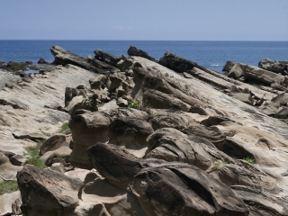 小野柳