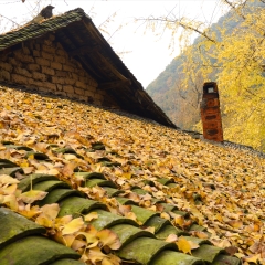 景点模块 