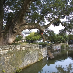 景点模块 