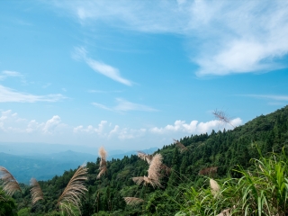 薄刀峰