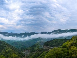 佛坪自然保护区