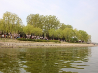 大运河森林公园