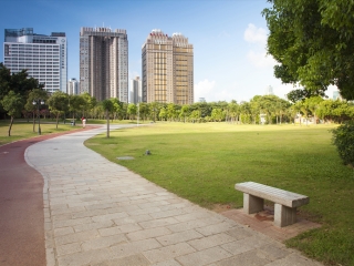 中心公园