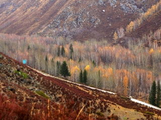 小东沟森林公园