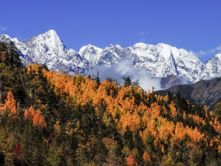 滇金丝猴保护区