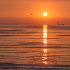 威海荣成石岛湾日出_16863