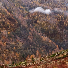 阿勒泰小东沟秋景_17674