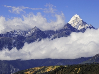 滇金丝猴保护区