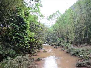 四洞沟