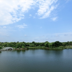 太阳岛风光_18258