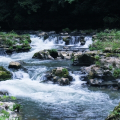 贵阳香火岩风光_18089