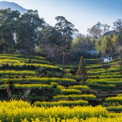 景点模块 