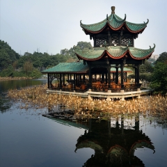 桂湖公园_19040