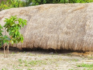 白查村船型茅草屋