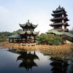 桂湖公园_19037