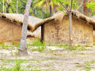 白查村船型茅草屋