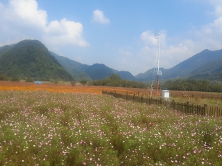 神农架国家级自然保护区