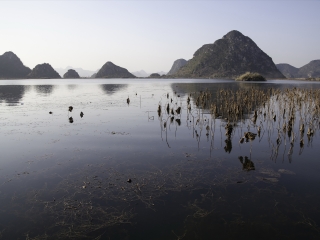 云南文山普者黑风景区