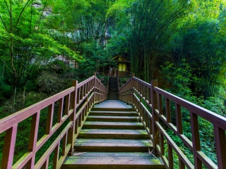 川西竹海峡谷自然景区（金鸡谷）