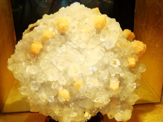 上海东方地质科普馆