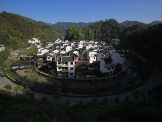 菊径村