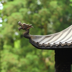 庐山黄龙寺_22242