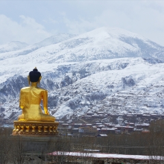 四川省甘孜州塔公草原雅拉雪山_21801