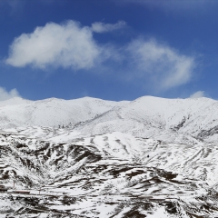 四川省甘孜州塔公草原雅拉雪山_21796