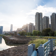 武汉市沙湖公园_22217
