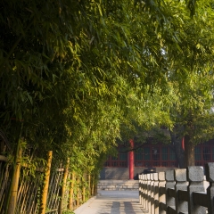 山东济南大明湖公园_22045