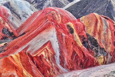 <西北+七彩丹霞+黑城怪树林+额济纳胡杨林+金塔胡杨林+马蹄寺+祁连草原双飞8日游>千年丝路文化深度慢游行摄胡杨升级酒店祈福塔尔寺