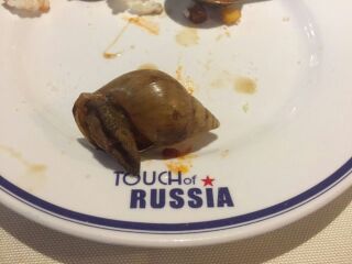 尚空间俄式厨房