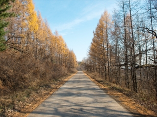 大亮子河国家森林公园