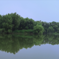河南洛阳洛河湿地_21679