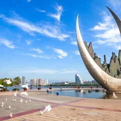 活动模块 