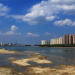 洛浦公园_21677