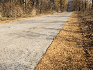 大亮子河国家森林公园