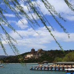 景点模块 