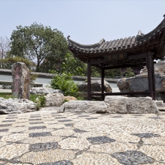 天津北宁公园_24464
