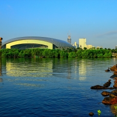 深圳春茧体育馆_24502