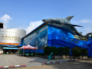 武汉海昌极地海洋公园