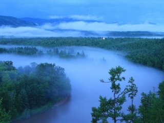 北极村国家森林公园